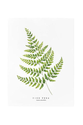 Pine Fern Print