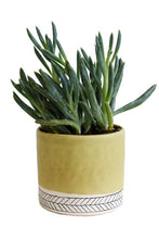 Load image into Gallery viewer, Small Herringbone Round Planter