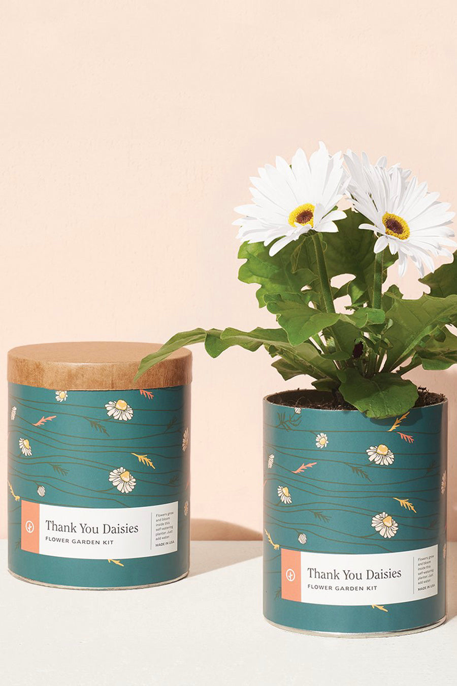Waxed Planter | Thank You Daisies