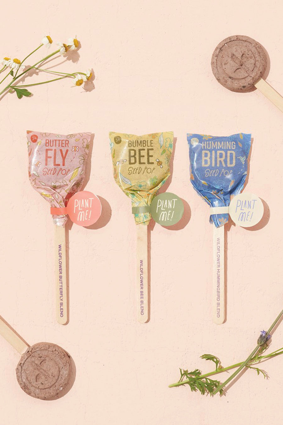 Seed Lollipop | Pollinator