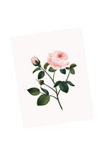 Load image into Gallery viewer, Rose Scented Card