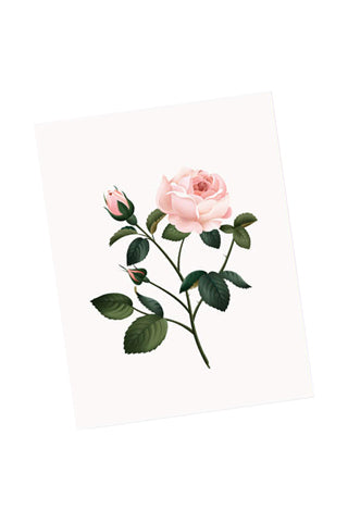 Rose Scented Card